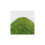 Green Stuff World Static Grass Flock 9-12mm - SPRING GRASS - 200 ml
