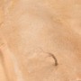AK Interactive Terrains Sandy Desert 250ML